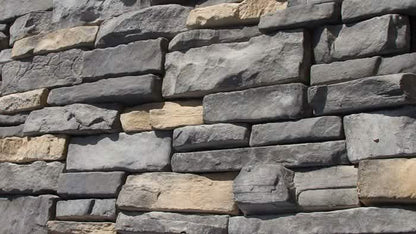 SS: RSV5d - Black/Gray + Black + Gold